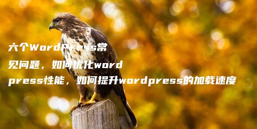 六个WordPress常见问题，如何优化wordpress性能，如何提升wordpress的加载速度插图