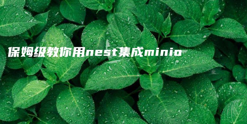 保姆级教你用nest集成minio插图 保姆级教你用nest集成minio插图