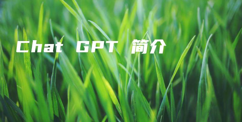 Chat GPT 简介插图