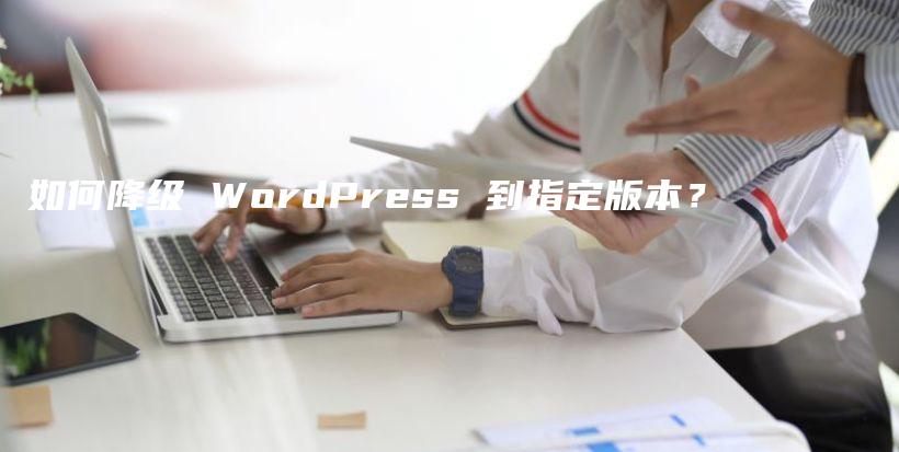 如何降级 WordPress 到指定版本？插图