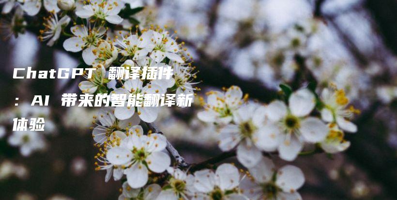 ChatGPT 翻译插件:AI 带来的智能翻译新体验插图 ChatGPT 翻译插件:AI 带来的智能翻译新体验插图