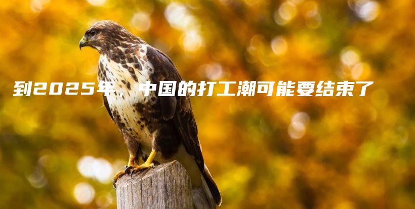 到2025年,中国的打工潮可能要结束了插图 到2025年,中国的打工潮可能要结束了插图