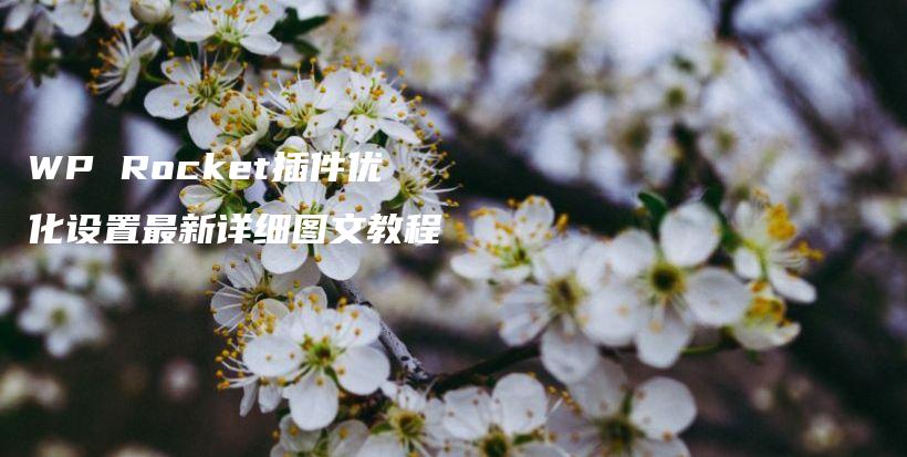 WP Rocket插件优化设置最新详细图文教程插图 WP Rocket插件优化设置最新详细图文教程插图