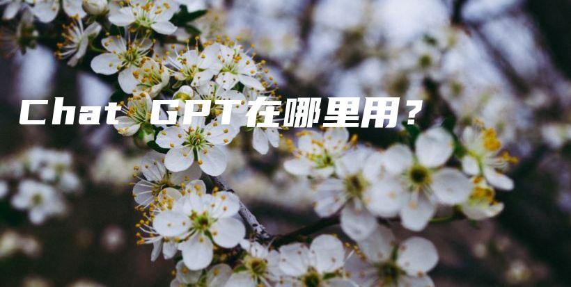 Chat GPT在哪里用?插图 Chat GPT在哪里用?插图