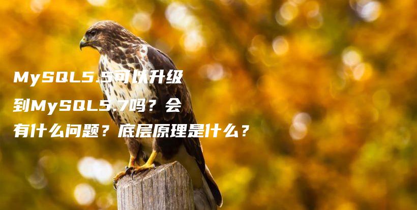 MySQL5.5可以升级到MySQL5.7吗？会有什么问题？底层原理是什么？插图