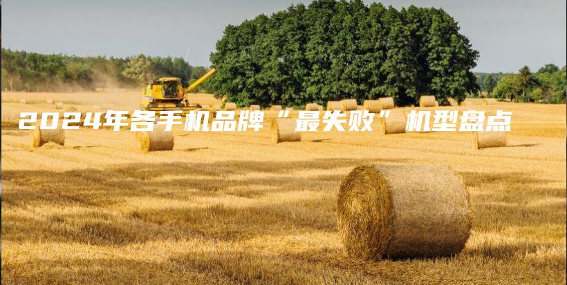 2024年各手机品牌“最失败”机型盘点插图