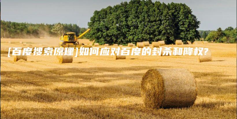 [百度搜索原理]如何应对百度的封杀和降权?插图