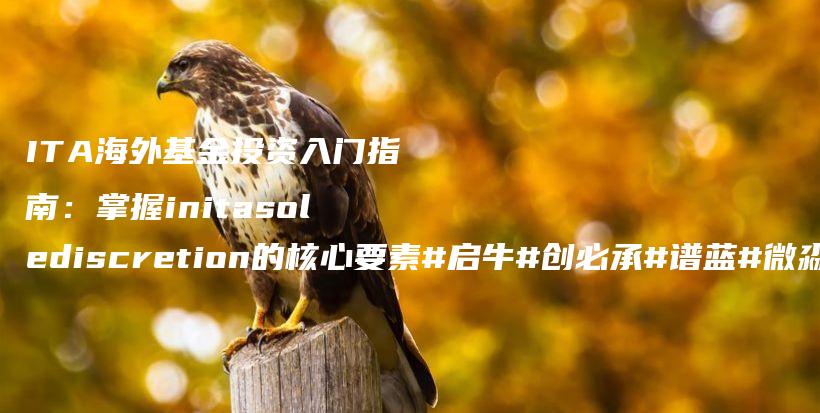 ITA海外基金投资入门指南:掌握initasolediscretion的核心要素#启牛#创必承#谱蓝#微淼#长投插图 ITA海外基金投资入门指南:掌握initasolediscretion的核心要素#启牛#创必承#谱蓝#微淼#长投插图