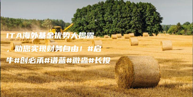 ITA海外基金优势大揭露，助您实现财务自由！#启牛#创必承#谱蓝#微淼#长投插图