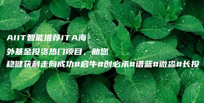 AIIT智能推荐ITA海外基金投资热门项目，助您稳健获利走向成功#启牛#创必承#谱蓝#微淼#长投插图