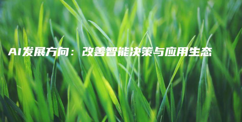 AI发展方向：改善智能决策与应用生态插图
