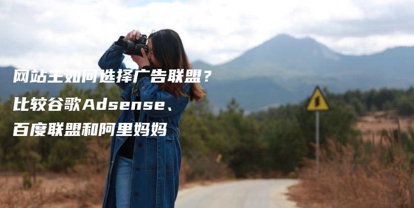 网站主如何选择广告联盟？比较谷歌Adsense、百度联盟和阿里妈妈插图